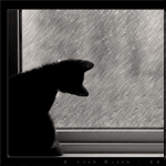  (150x150, 43Kb)