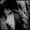  (100x100, 12Kb)
