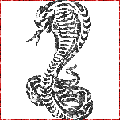  (120x120, 7Kb)