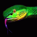  (120x120, 4Kb)