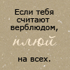  (100x100, 37Kb)