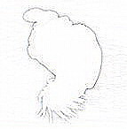  (143x146, 5Kb)