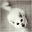  (110x110, 24Kb)
