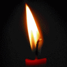 41716_prev_98 (98x98, 48Kb)