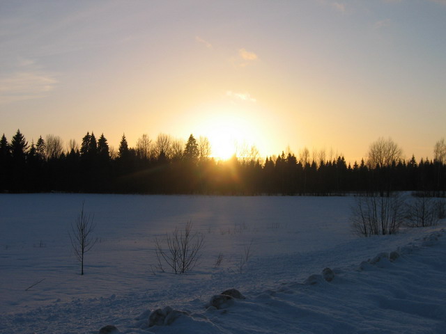 (640x480, 55Kb)