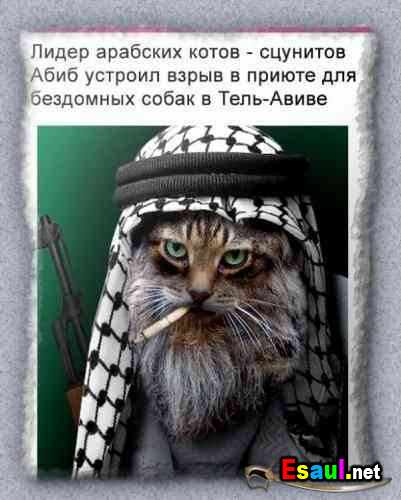 http://img0.liveinternet.ru/images/attach/b/3/19/614/19614377_1164673573_stopme_ru_58_0_20061102_10625_2.jpg