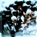  (120x120, 43Kb)