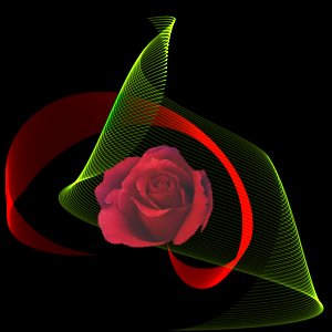 (300x300, 14Kb)