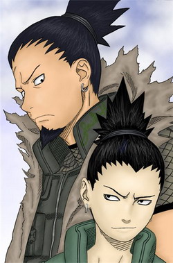 http://img0.liveinternet.ru/images/attach/b/3/19/801/19801312_ShikakuShikamaru.jpg