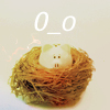(100x100, 23Kb)