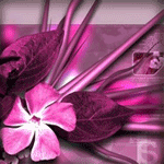  (150x150, 22Kb)