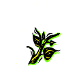(119x103, 8Kb)