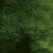  (48x48, 6Kb)