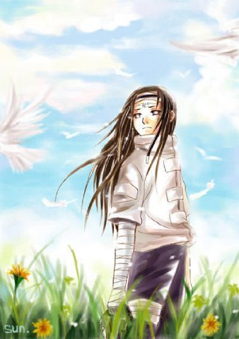 http://img0.liveinternet.ru/images/attach/b/3/21/456/21456889_nes.jpg