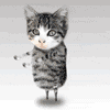 catsanimation0_20070615_1723116743 (100x100, 104Kb)