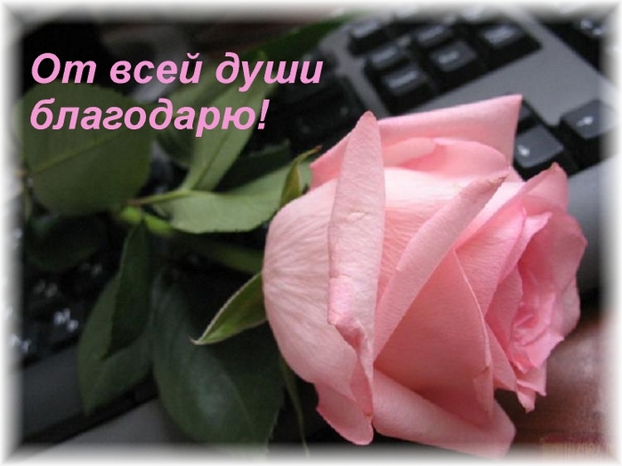 http://img0.liveinternet.ru/images/attach/b/3/22/30/22030697_ot_vsey_dushi_blagodaryu.jpg