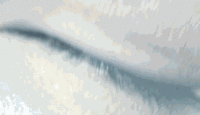 (200x115, 761Kb)
