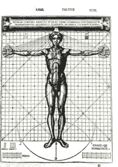 (240x340, 27Kb)