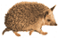  (65x43, 4Kb)