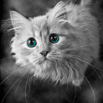  (150x150, 22Kb)