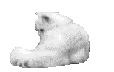  (114x72, 51Kb)
