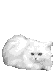  (53x71, 42Kb)