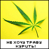  (100x100, 25Kb)