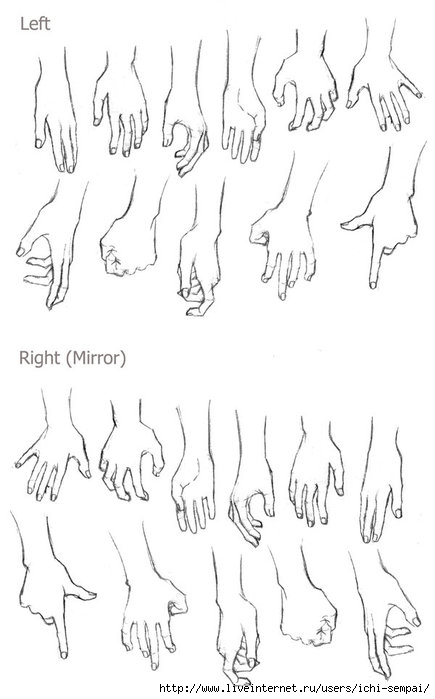 Как рисовать аниме руки. Обсуждение на LiveInternet - Российский Сервис