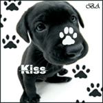22669975_Labrador copy (150x150, 16Kb)