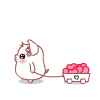  (100x100, 27Kb)