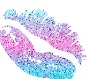  (101x90, 14Kb)