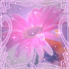  (100x100, 15Kb)