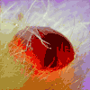 249 (100x100, 16Kb)