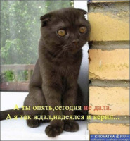  (185x200, 17Kb)
