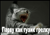  (100x69, 6Kb)