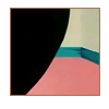  (100x100, 13Kb)