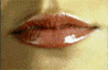 2848314_19279343_14617_prev_98 (98x64, 101Kb)