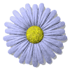 23 (100x100, 12Kb)
