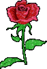 16230 (69x100, 11Kb)