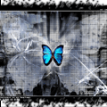 avatar51 (120x120, 23Kb)