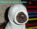  (150x116, 52Kb)
