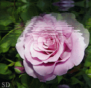 (185x180, 94Kb)