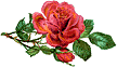  (108x62, 2Kb)