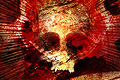 icon120 (120x80, 24Kb)