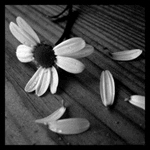  (150x150, 13Kb)