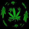 824852771425f632f6bfac (100x100, 20Kb)