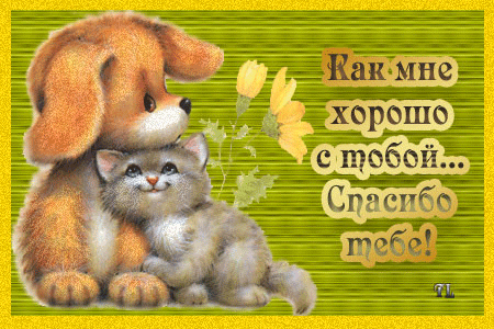 Слова благодарности в прозе мужу Слова благодарности в прозе мужу
