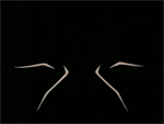  (150x113, 53Kb)