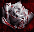 1aa739d5b8bcdb7a45c46ccea16ade8f (120x114, 10Kb)