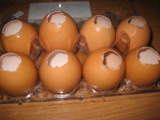 Яйца Фаберже (532x399, 140Kb)